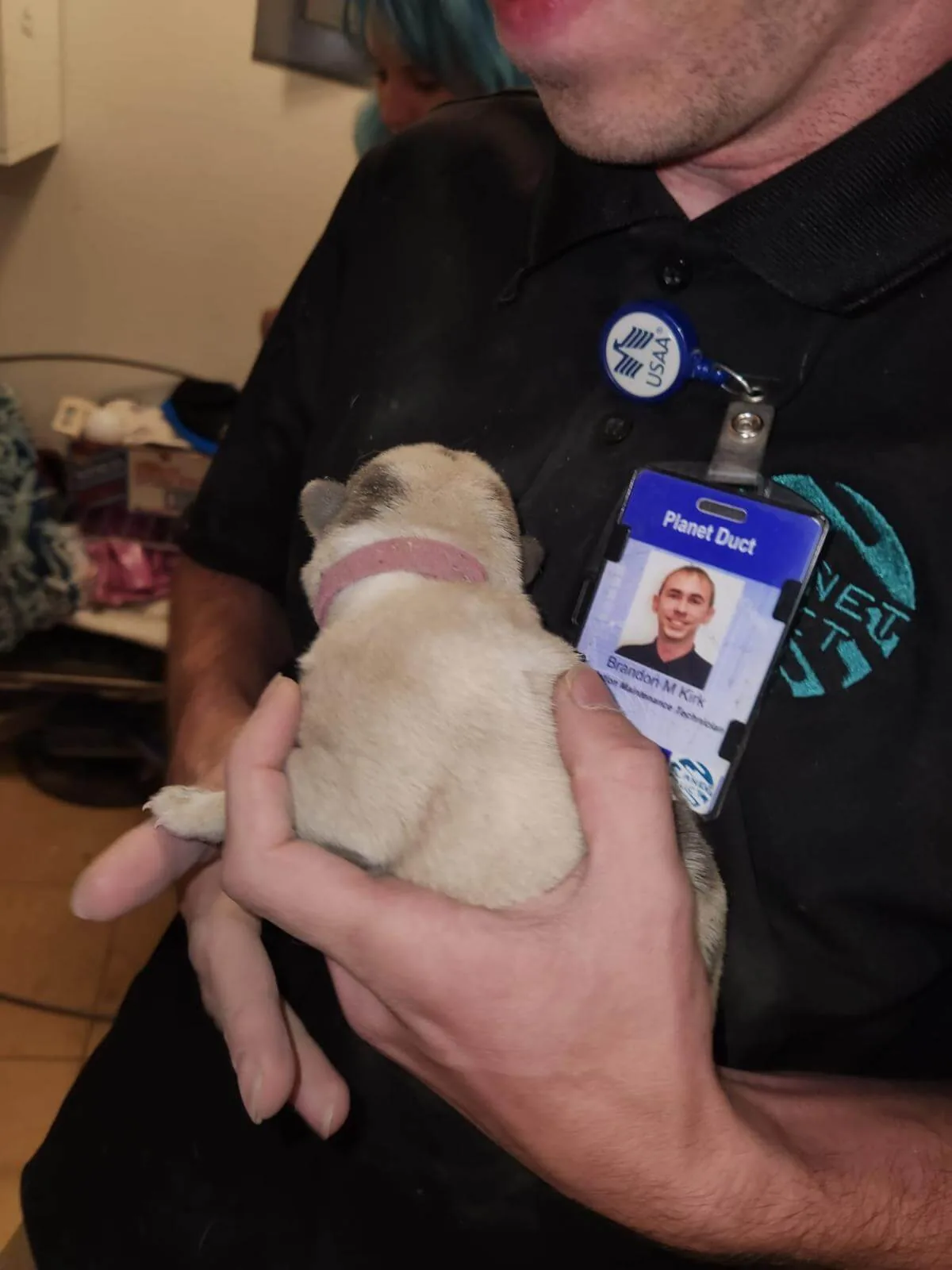 Puppy rescued during professional duct cleaning
