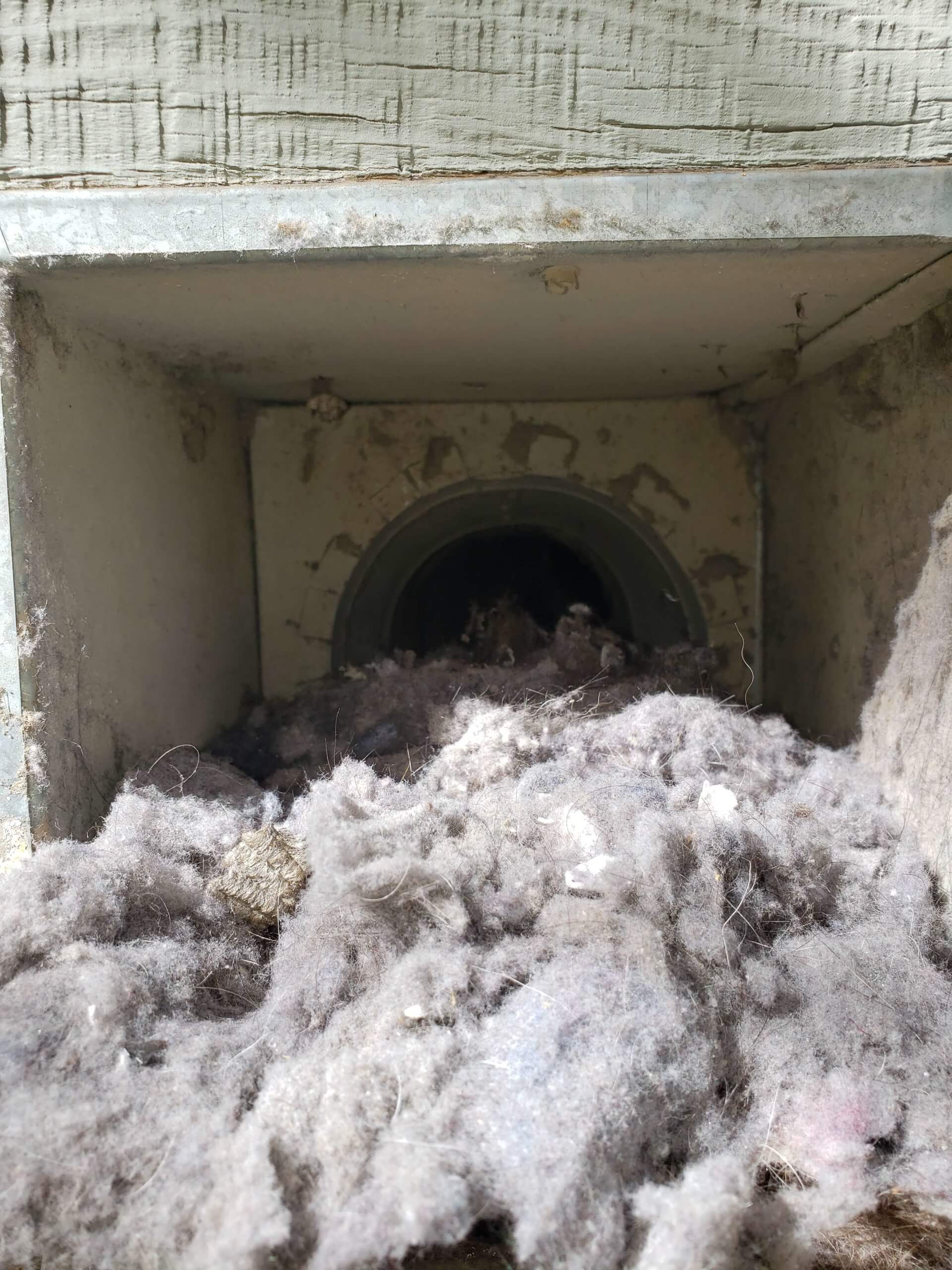 lint coming out of a dryer vent